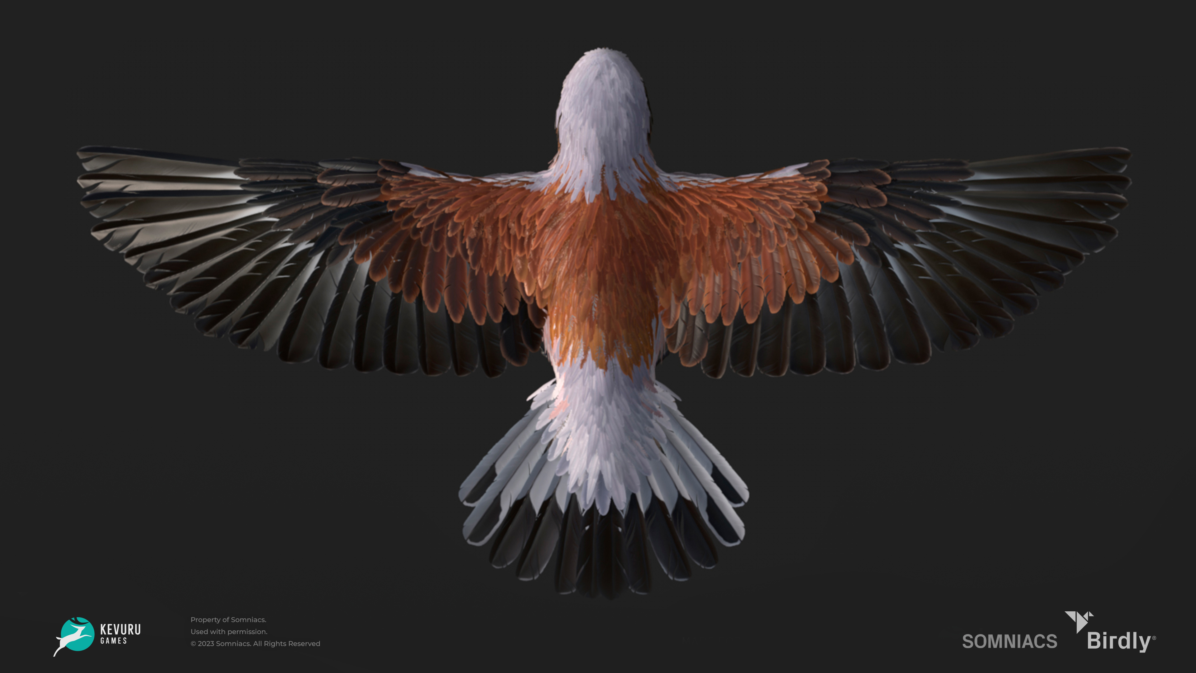 Birdly bird flying