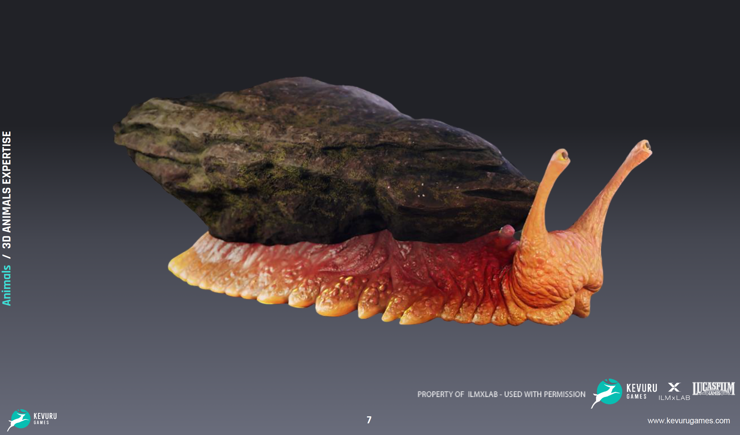 3D Animation