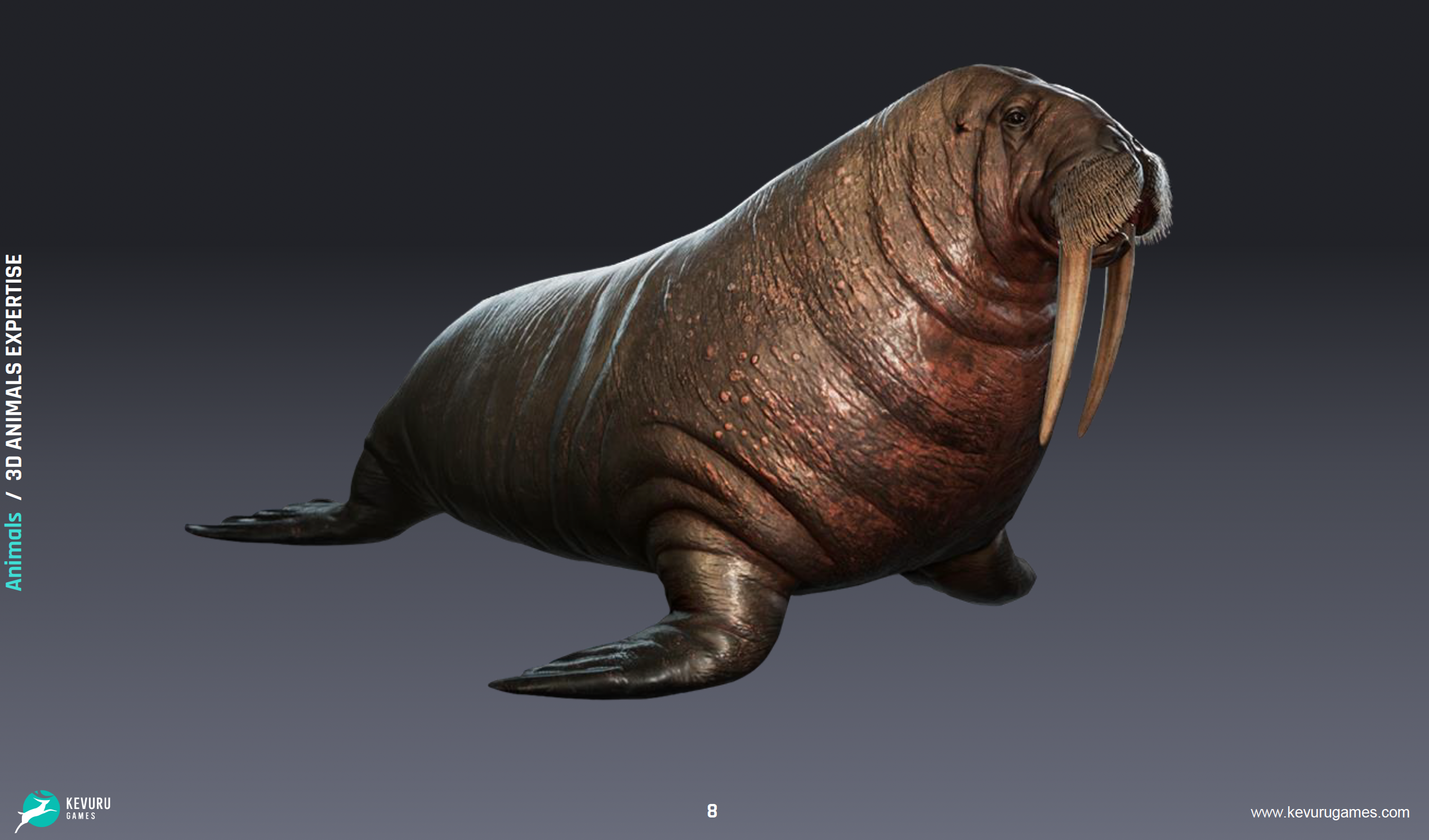 3D Animation