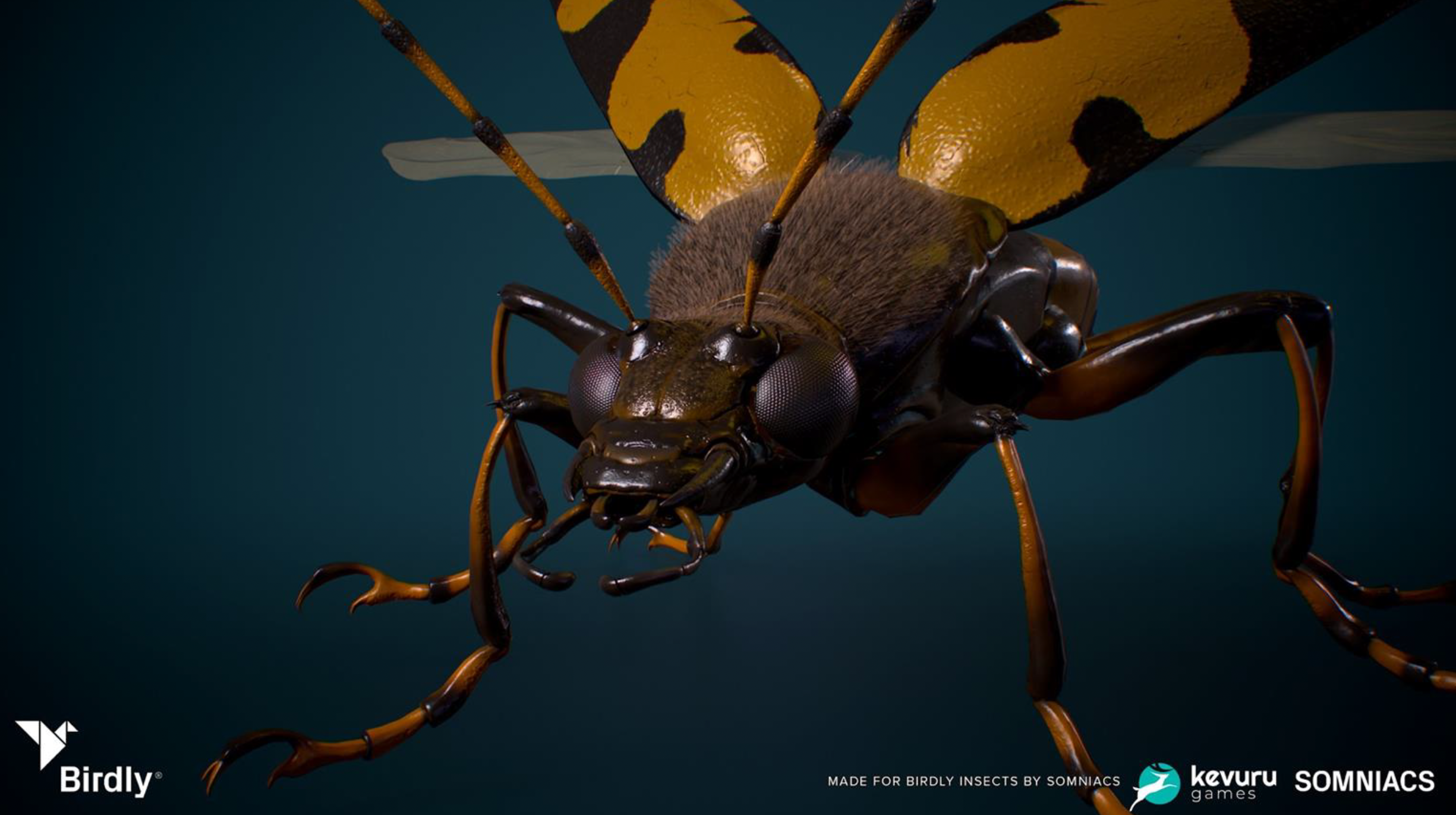 3D Animation
