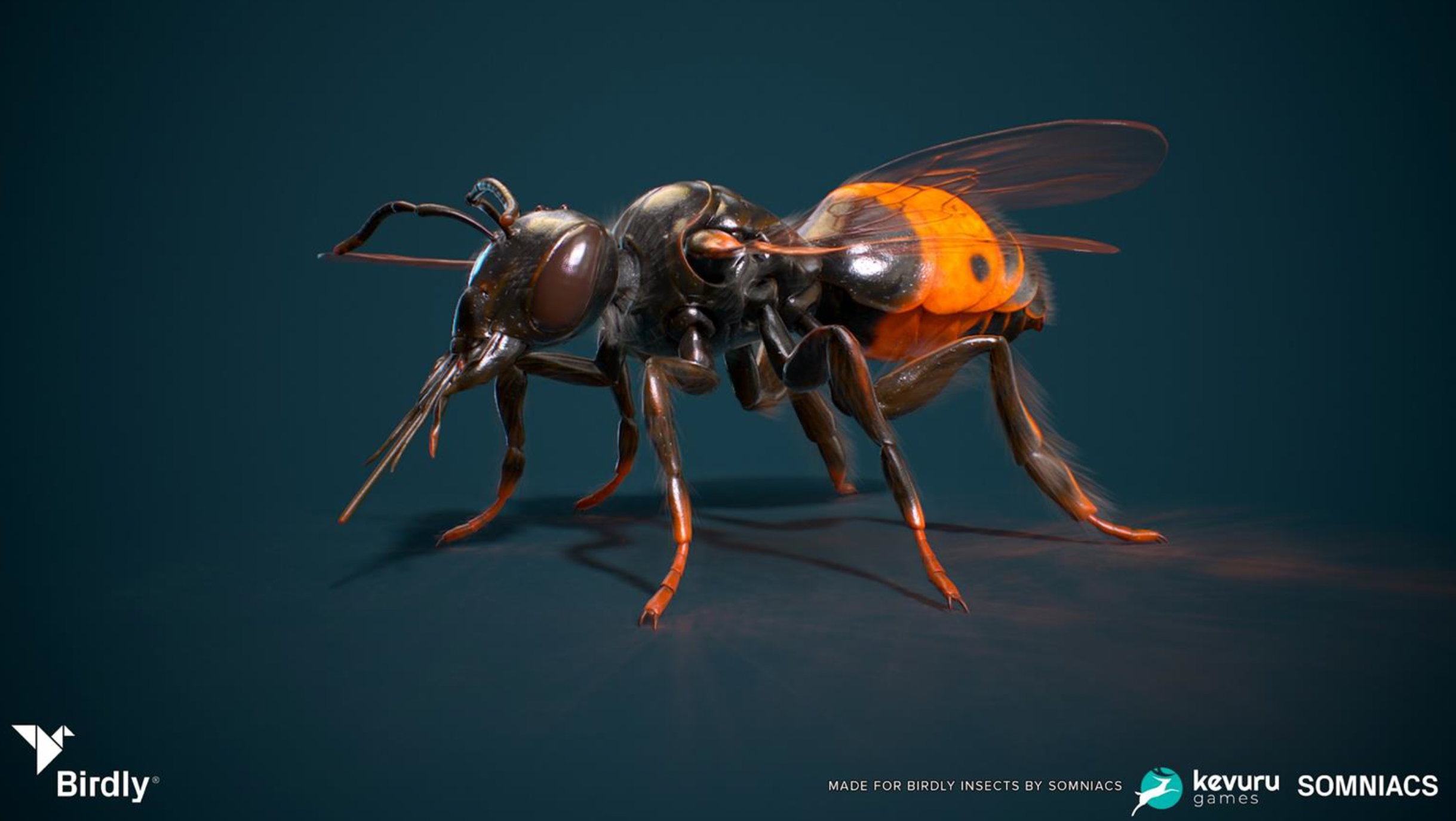 3D Animation