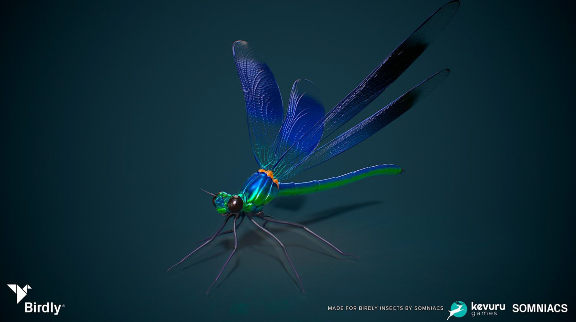 3D Animation