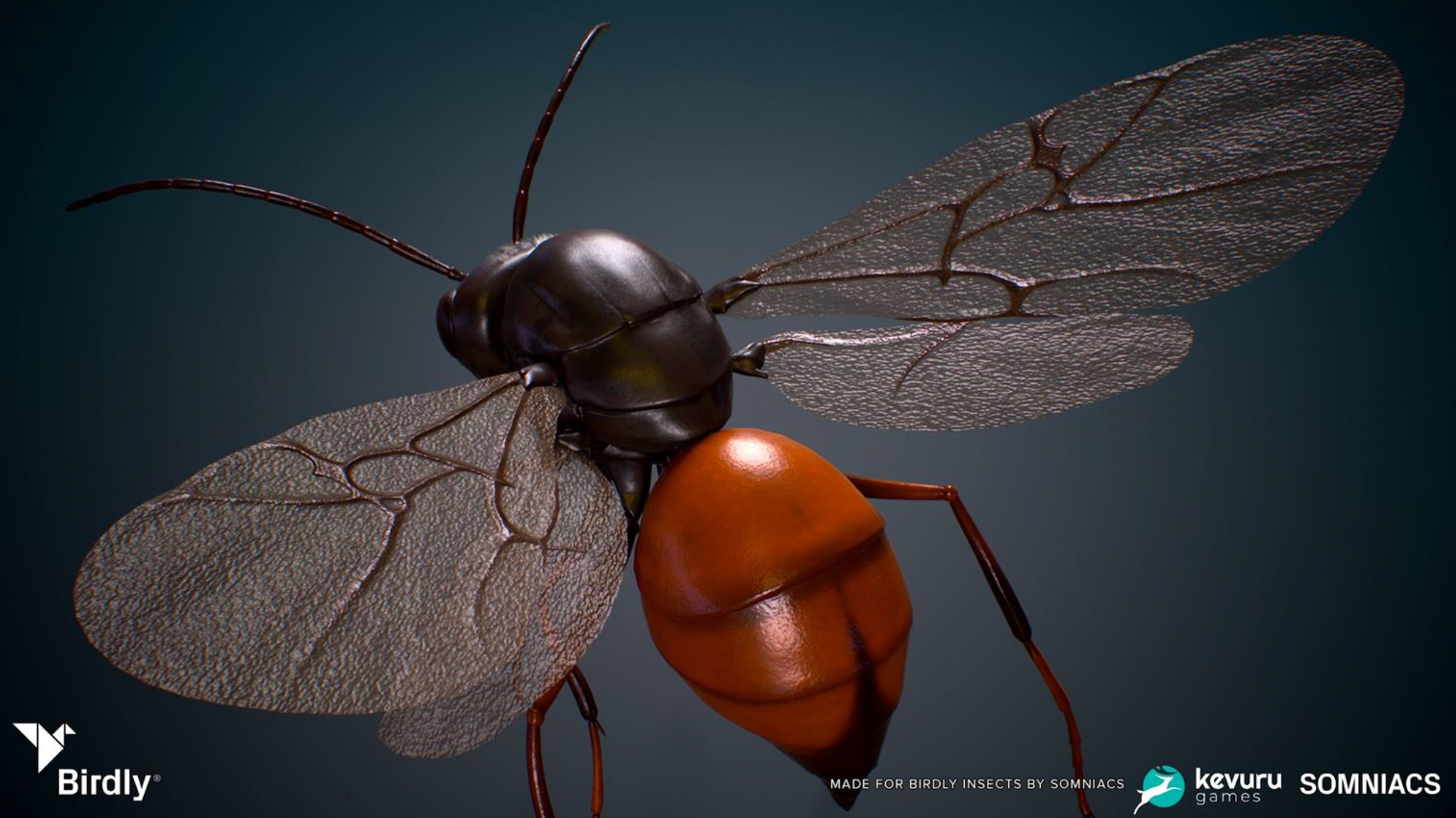 3D Animation